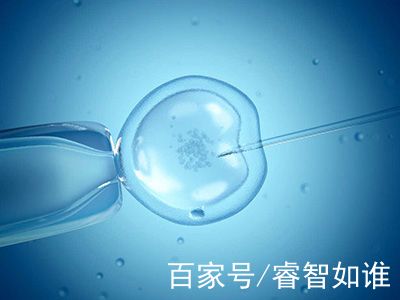 42岁成功案例